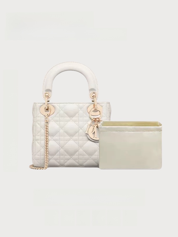 Diore Lady Inner Bag Organizer - مراجعة Women Bags Dior وسعره