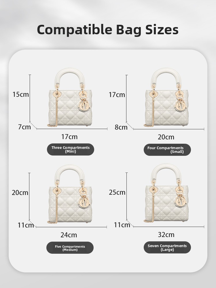 Diore Lady Inner Bag Organizer - مراجعة Women Bags Dior وسعره