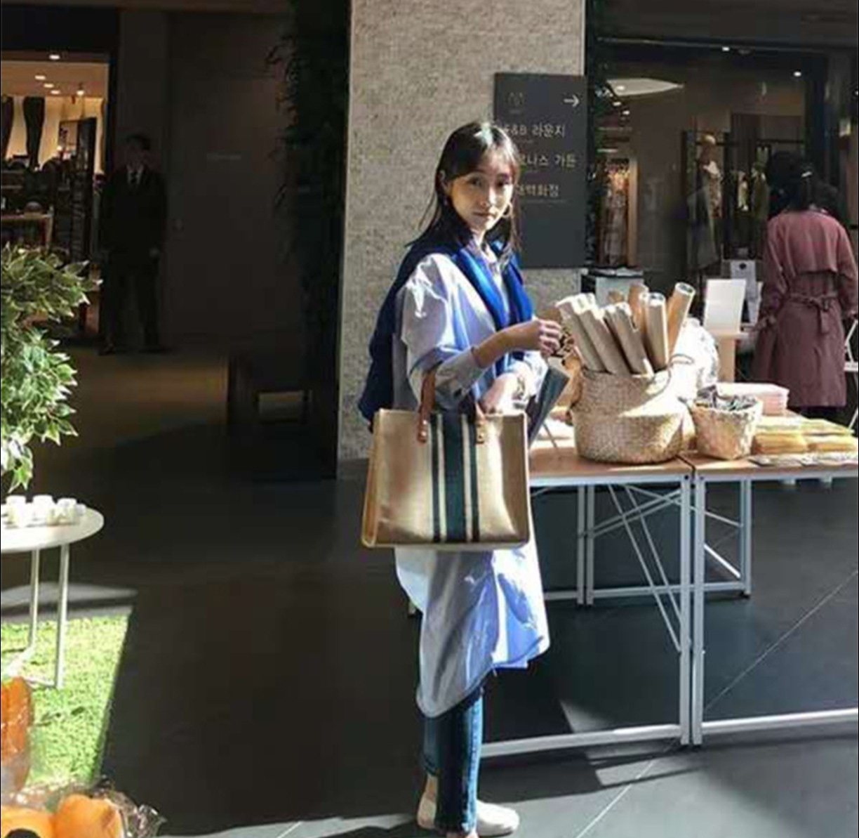 2026 New Striped Canvas Tote B - مراجعة Women Hand Bags For Office وسعره